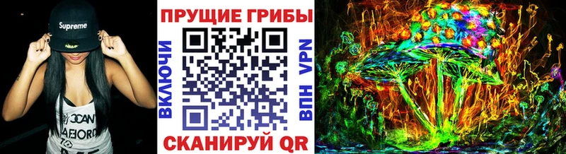 где купить наркотик Знаменск Галлюциногенные грибы Psilocybe